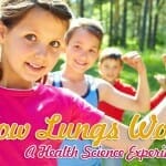 how-lungs-work-science-experiment