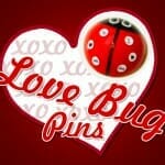 love bug pins valentines day craft