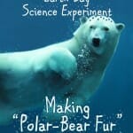 earth day science experiment polar bear fur