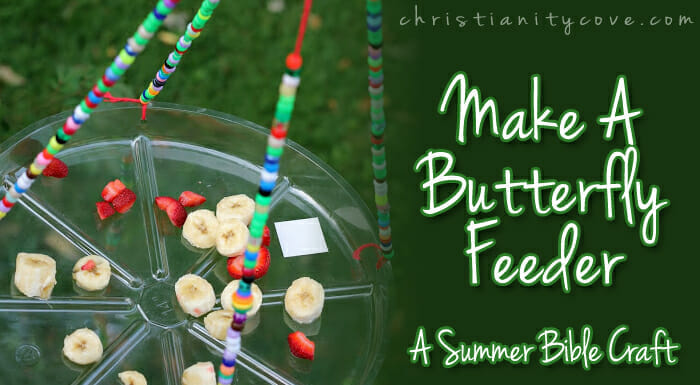 butterfly feeder bible craft