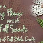 Make a Spring Flower out of Fall Seeds (Bible Craft)